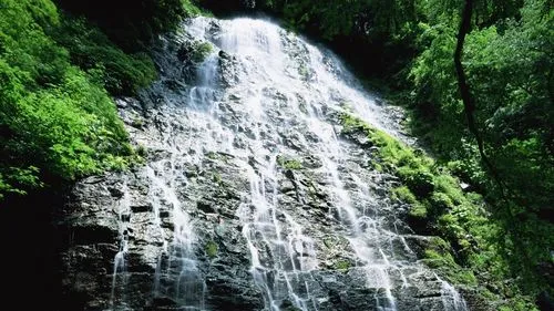 智能高性能